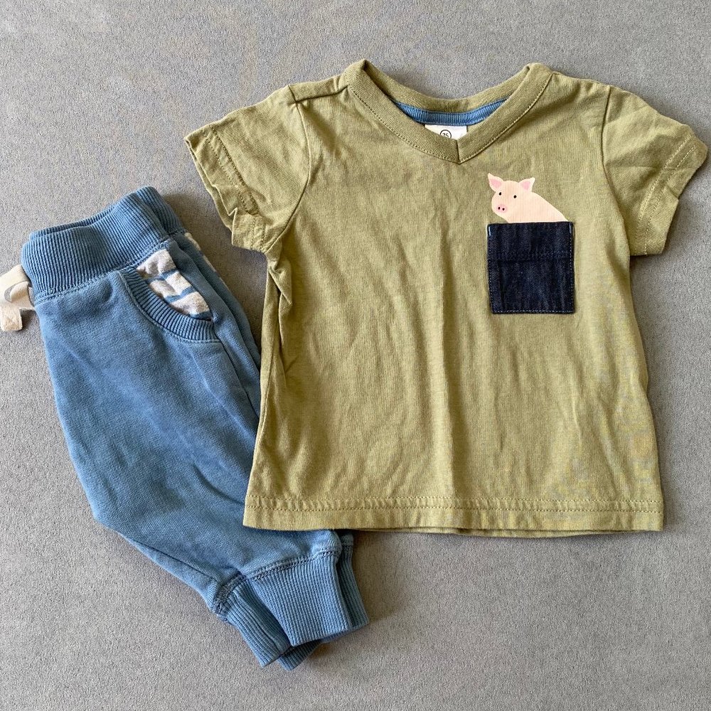 Hanna Andersson Farm Outfit